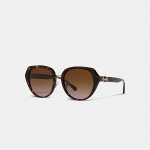 Black Coach Horse And Carriage Oversized Round Women Sunglasses | SG_CH27972