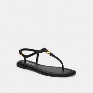 Black Coach Jessica Women Sandals | SG_CH59915