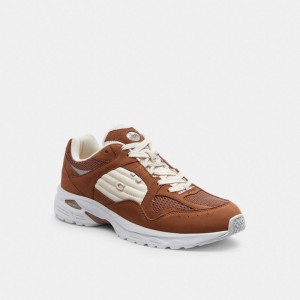 Brown Coach C301 Men Sneakers | SG_CH70968