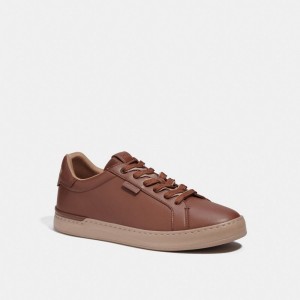 Brown Coach Lowline Low Top Men Sneakers | SG_CH74754