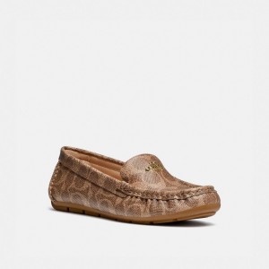 Brown Coach Marley Driver Women Loafers | SG_CH89735