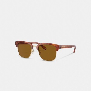 Brown Coach Retro Men Sunglasses | SG_CH44982