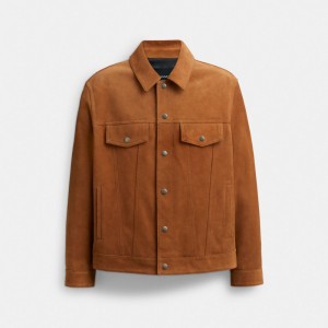 Brown Coach Suede Leather Tan Men Jackets | SG_CH32184