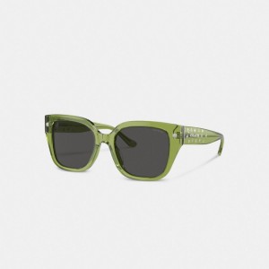 Green Coach Charms Oversized Square Women Sunglasses | SG_CH41178