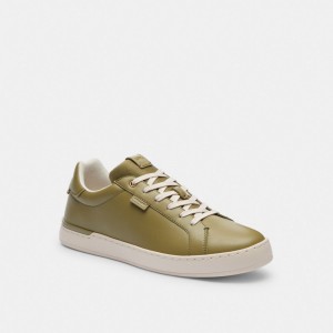 Olive Coach Lowline Low Top Moss Men Sneakers | SG_CH47915