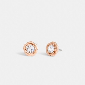 Rose Gold Coach Halo Tea Stud Women Earrings | SG_CH10808