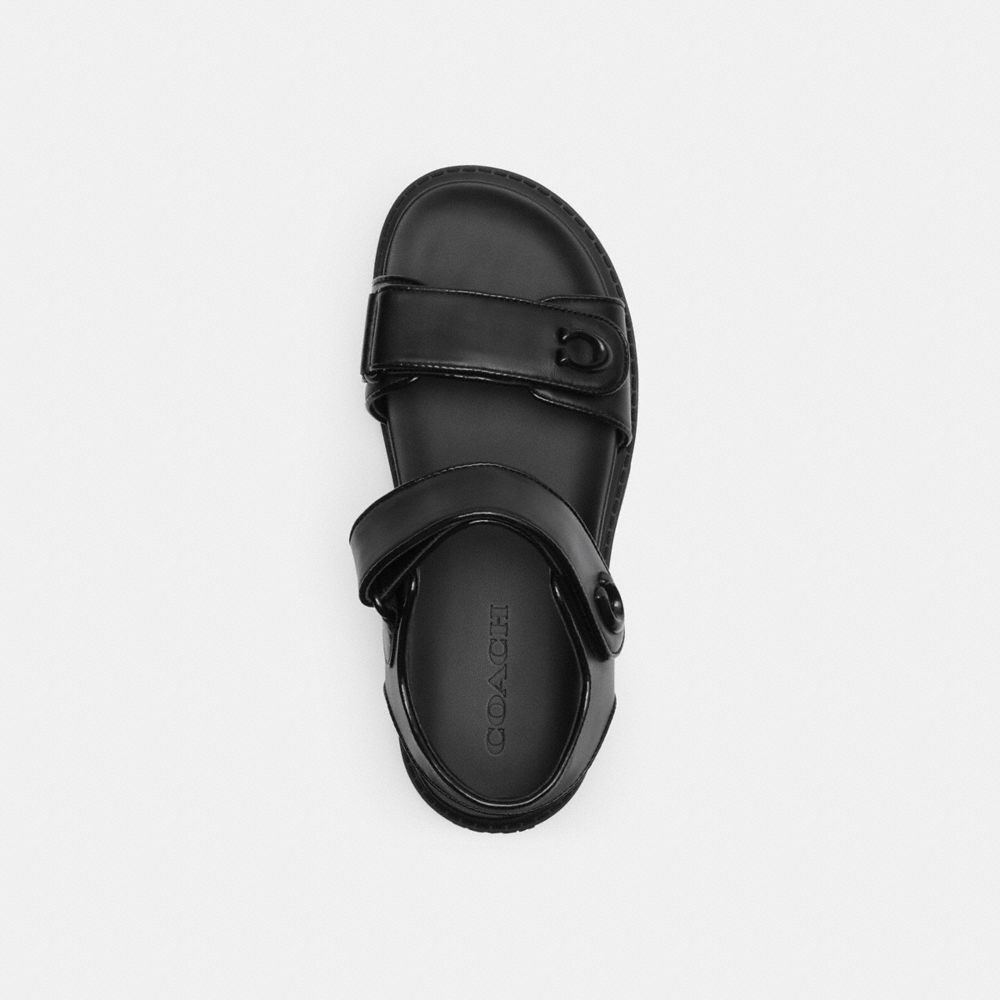 Black Coach Brynn Women Sandals | SG_CH96359