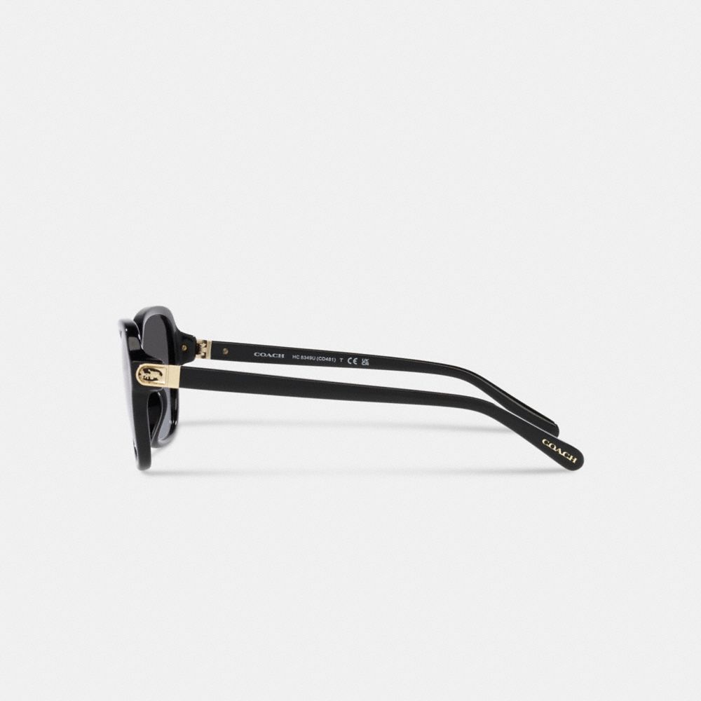 Black Coach Hinged Horse And Carriage Square Women Sunglasses | SG_CH92916