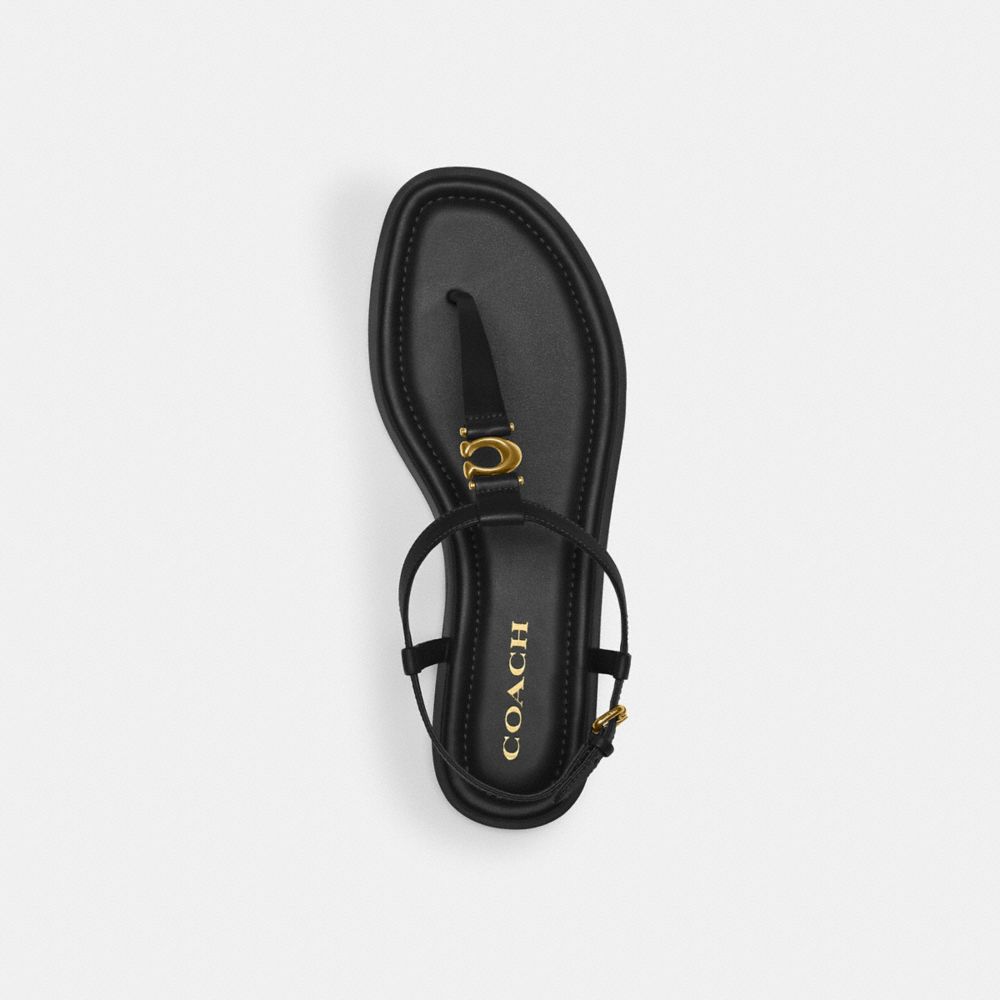 Black Coach Jessica Women Sandals | SG_CH59915