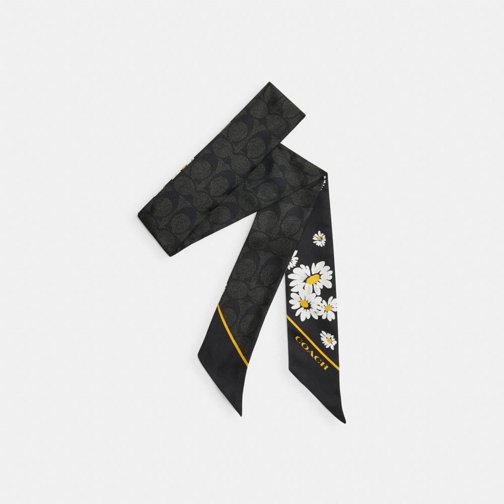 Black Coach Signature Daisy Cluster Print Silk Skinny Women Scarf | SG_CH17654