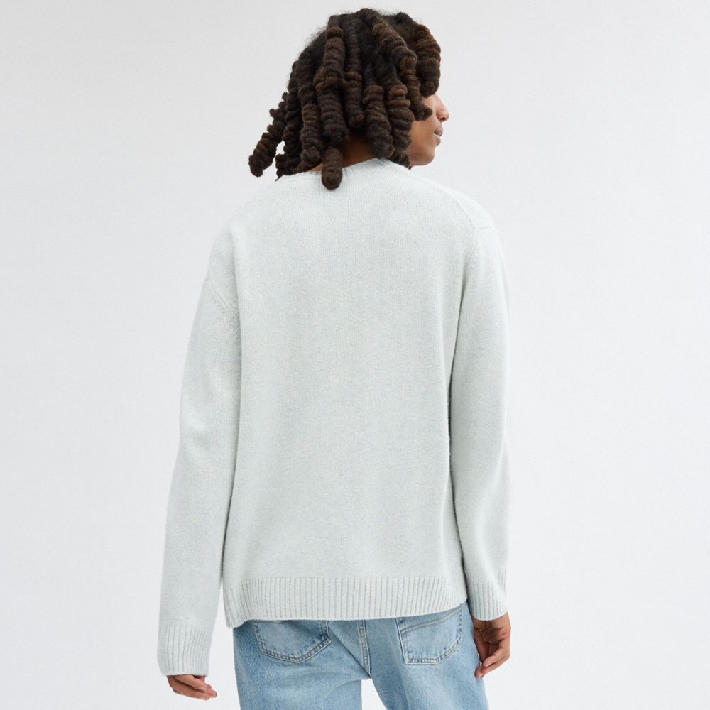 Blue Coach Narrow Men Sweaters | SG_CH24134