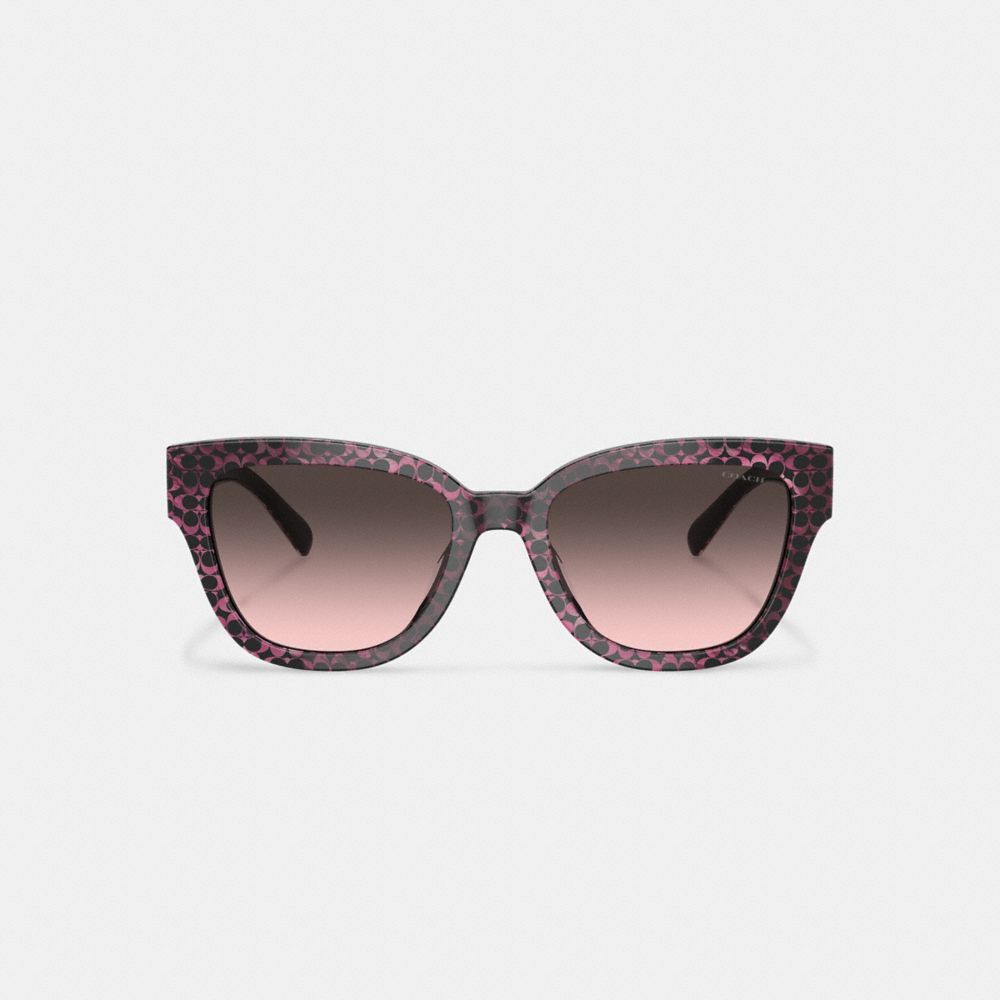 Brown Coach Signature Round Ruby Pearlized Signature Women Sunglasses | SG_CH58574