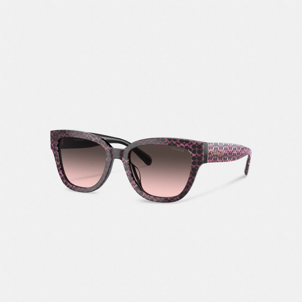 Brown Coach Signature Round Ruby Pearlized Signature Women Sunglasses | SG_CH58574