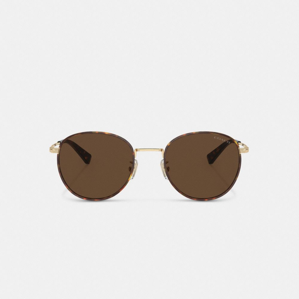 Brown / Gold Coach Metal Windsor Round Men Sunglasses | SG_CH12097