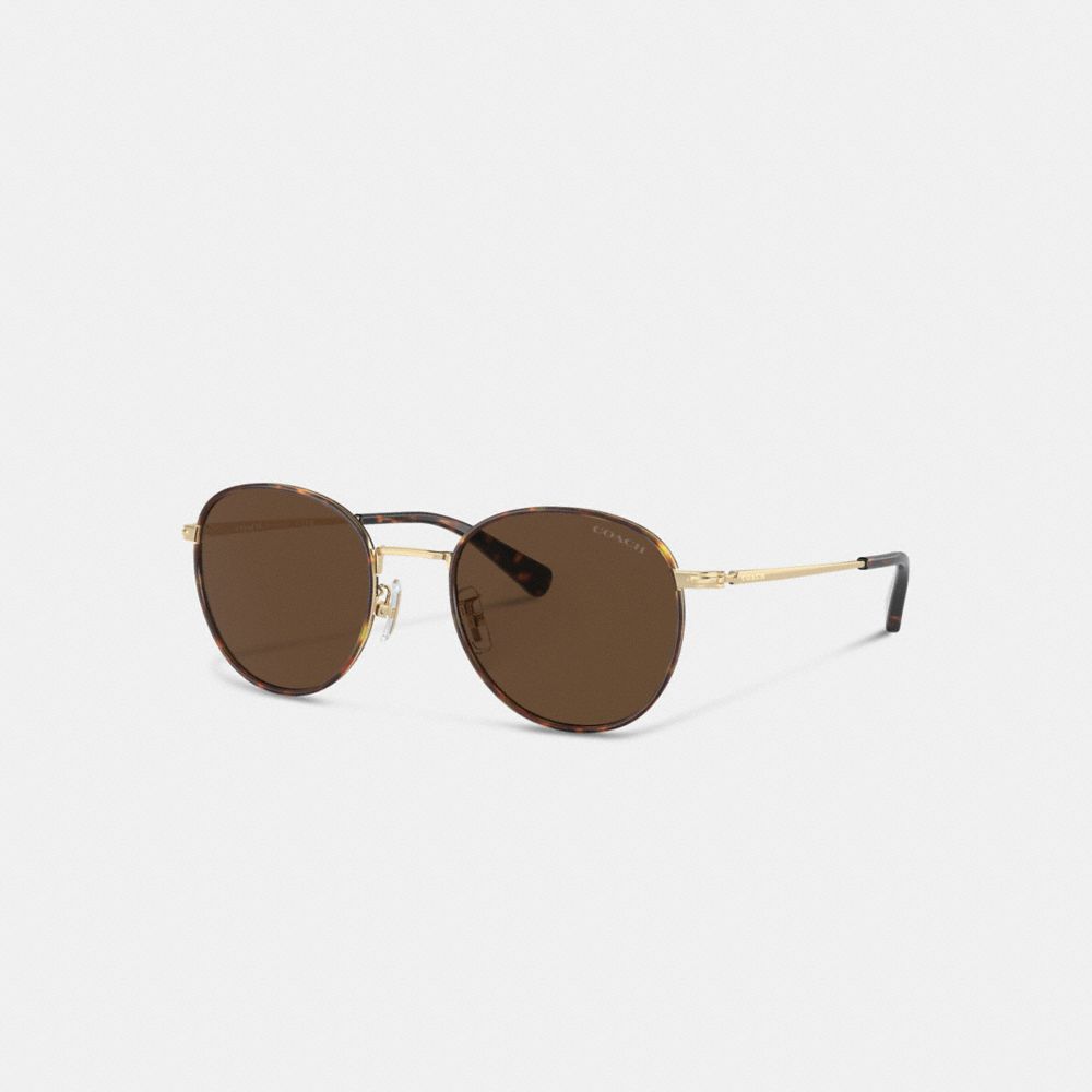 Brown / Gold Coach Metal Windsor Round Men Sunglasses | SG_CH12097