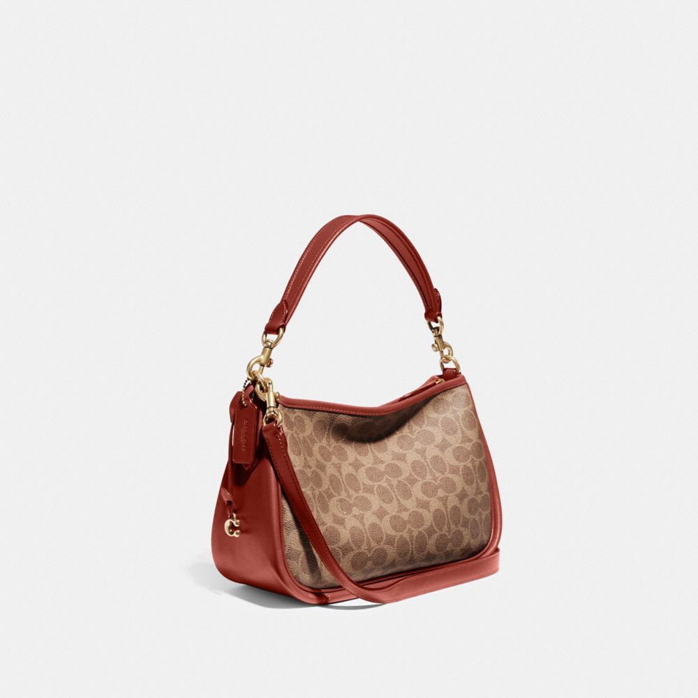 Brown / Red Coach Cary In Signature Women Crossbody Bags | SG_CH49332