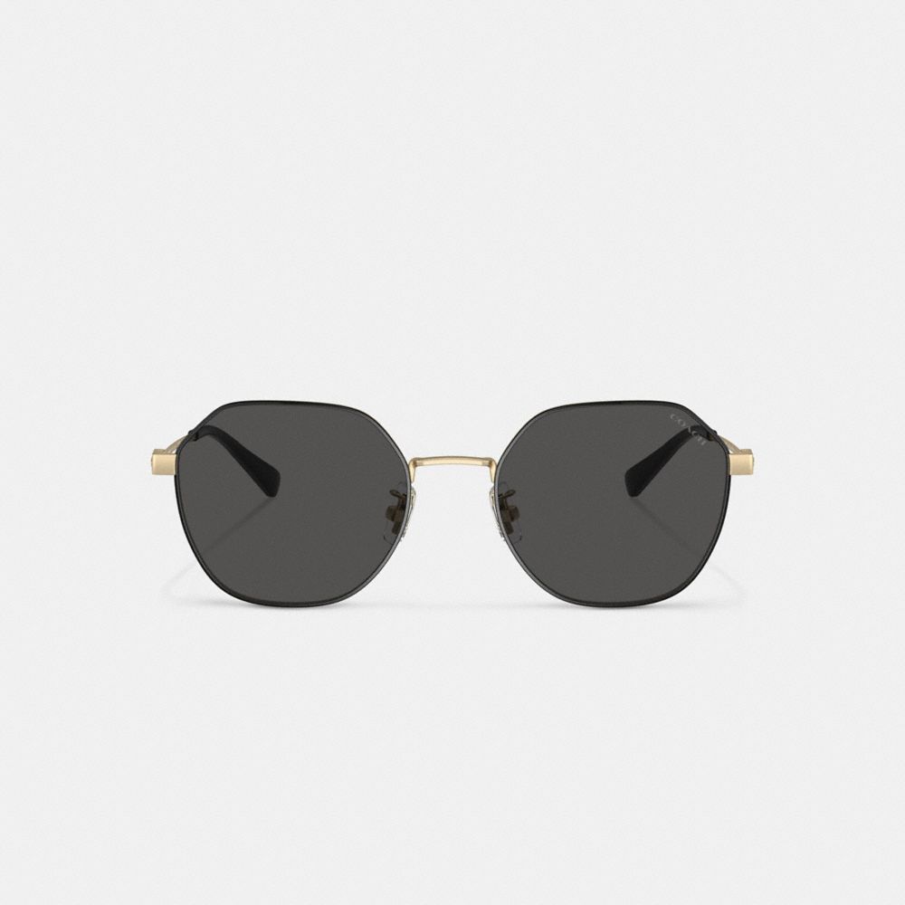 Gold Black Coach Hinged Geometric Round Men Sunglasses | SG_CH46992