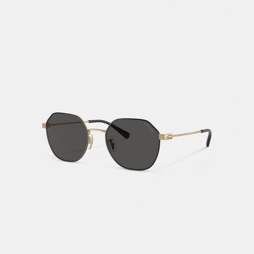 Gold Black Coach Hinged Geometric Round Men Sunglasses | SG_CH46992