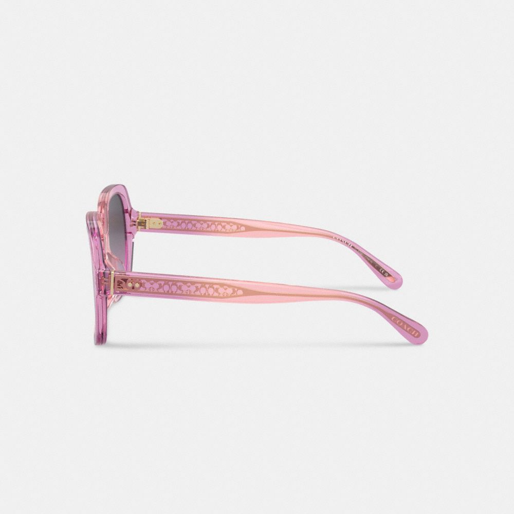 Pink Purple Coach Signature Ombré Oversized Square Women Sunglasses | SG_CH33089