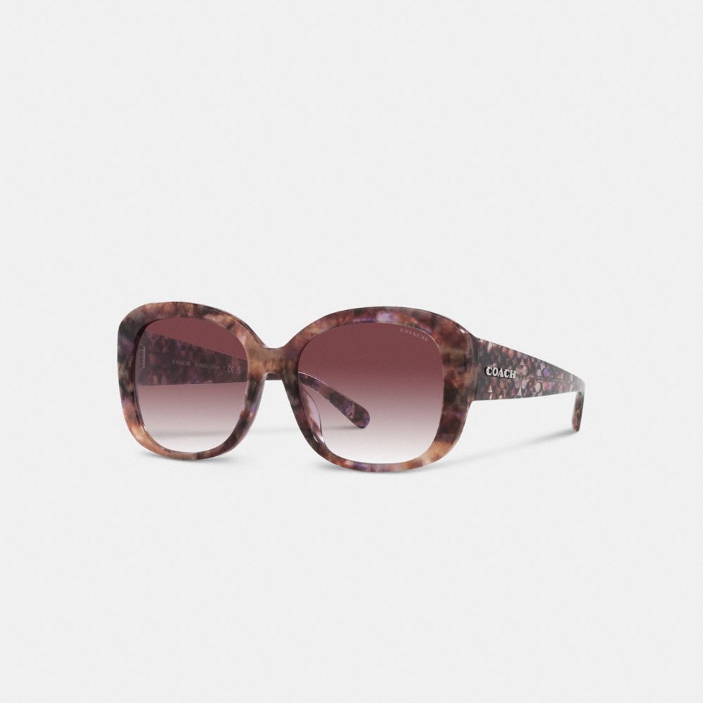 Purple Coach Signature Oversized Square Women Sunglasses | SG_CH44442