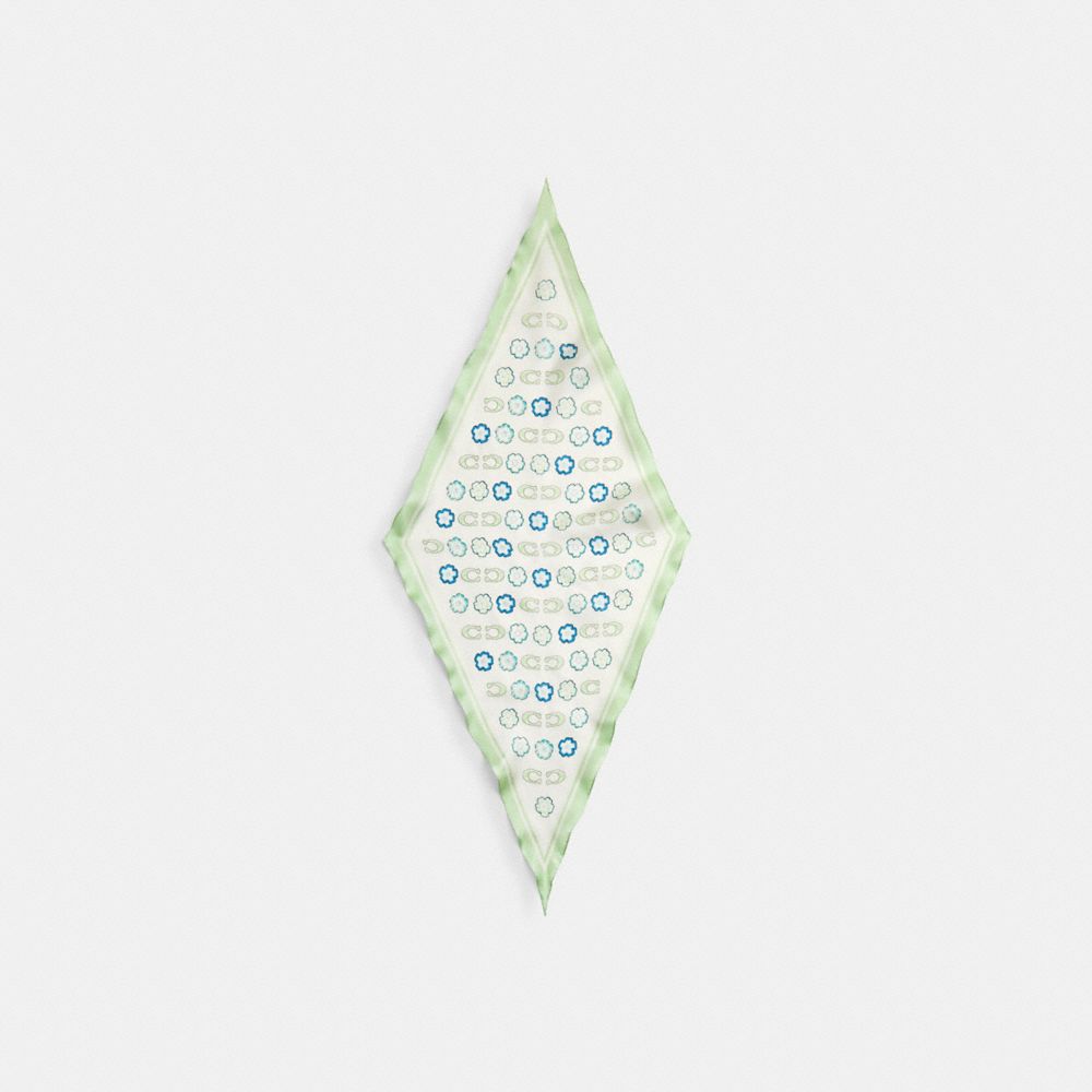 Rose Coach Tea Print Silk Diamond Pale Pistachio Women Scarf | SG_CH83424