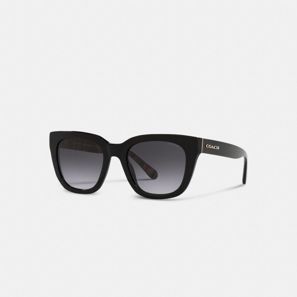 Stripes Black Coach Legacy Stripe Square Women Sunglasses | SG_CH34764