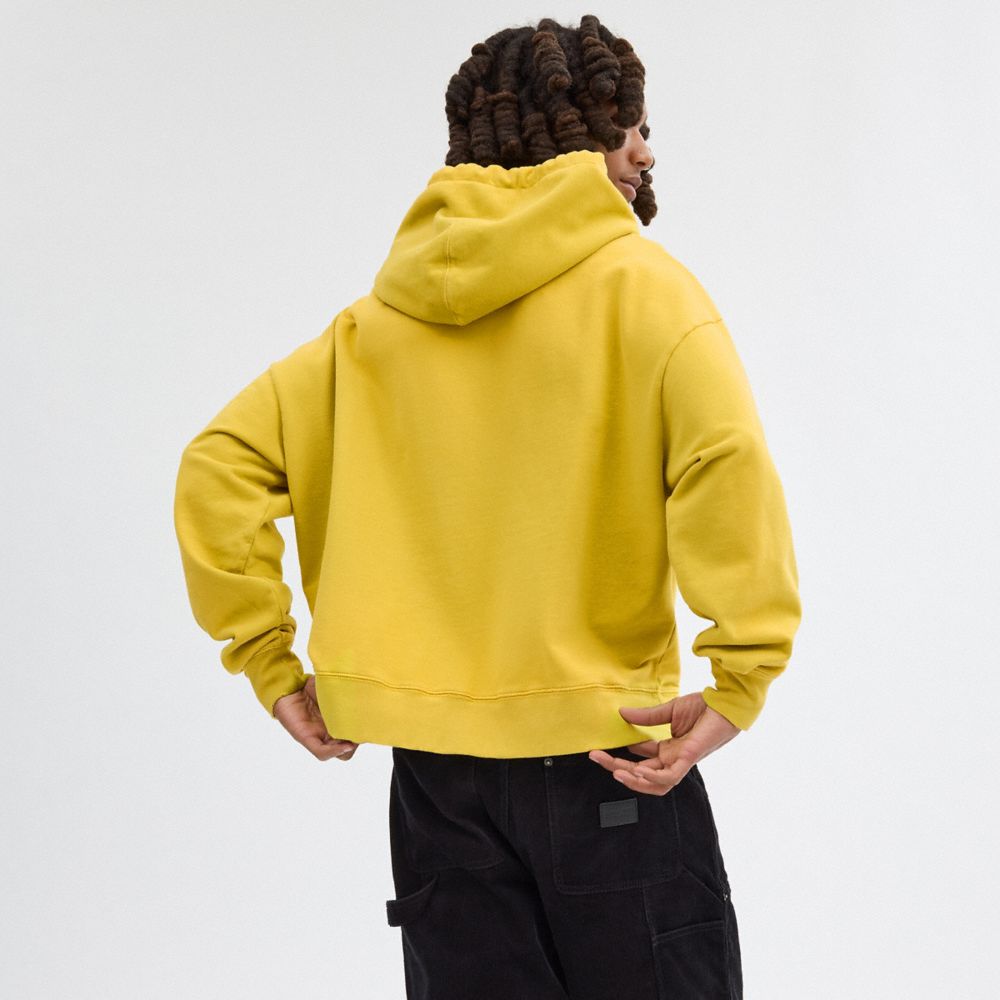 Yellow Coach Americana Men Hoodie | SG_CH43319